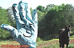 Mr. Hand
