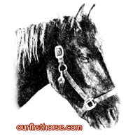 Our first horse - Valentine Our first horse - Valentine