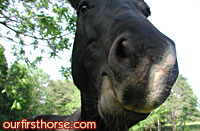 Funny Face
