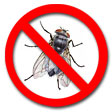 Just say no to flies