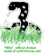 Our chicken snake - Willy