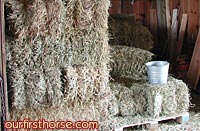 Summer Hay Expense