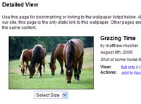 Horse backgrounds and wallpaper