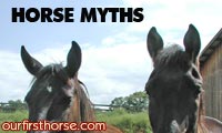 Horse Myths