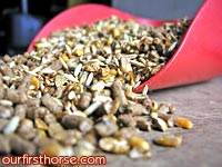 Horses love oats