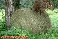 A round bale of hay