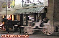 Horse Drawn Carriage