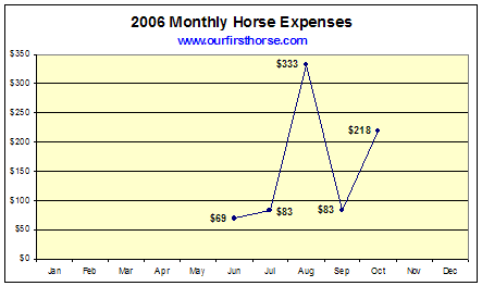 2006 Horse Expenses YTD 2006 Horse Expenses YTD