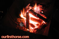 Horses and Fire