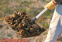Small Manure Fork