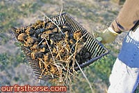 Large Manure Fork