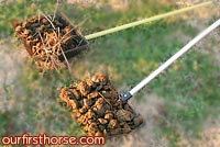 Manure Forks