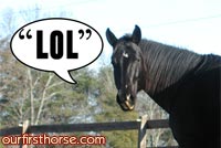 Horse Sayings