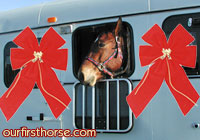 A horse makes a good present