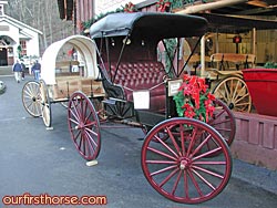 Handmade Horse Carriages