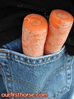 Pocket of carrots