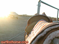 Saddle in the sunset