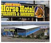 Horse Hotel