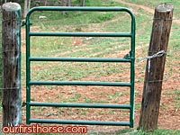 The finished painted gate The finished painted gate