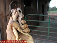 My barn gloves