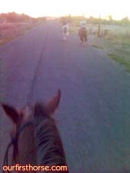 Cell phone on horseback