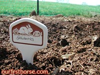 Horse Owners Garden