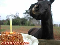 Horse Birthday Cake on Make Your Own Horse Birthday Cake   Our First Horse