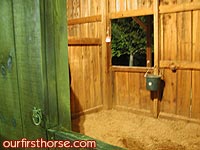 My disappearing horse