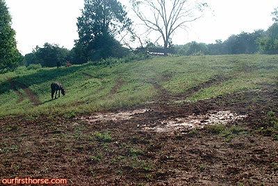 Mystery pasture flat spot Mystery pasture flat spot
