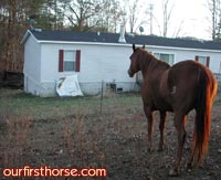 blaze-at-neighbors-fence.jpg