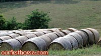 2007 hay harvest outlook