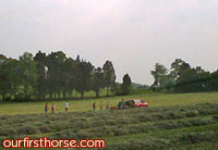 Hay Harvest