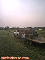 Hay Harvest