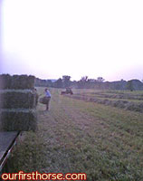 Hay Harvest