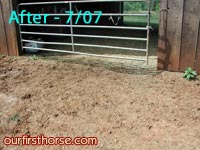 after-mud-picture.jpg