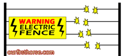 Broken Electric Fence