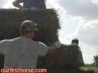 putting-up-hay.jpg
