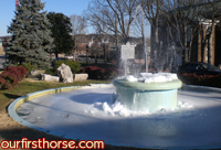 Frozen Fountain Frozen Fountain