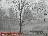 snowy-pasture.jpg