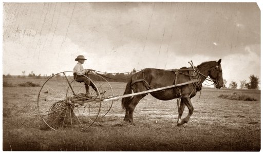 Kid on a hay rake