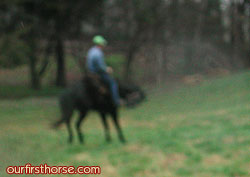 Moonshine bucking