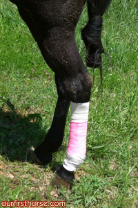 bandaged-leg.jpg