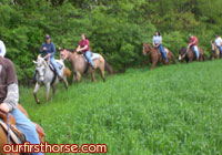 Long trail ride