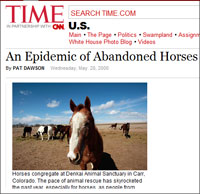 Abandoned Horses