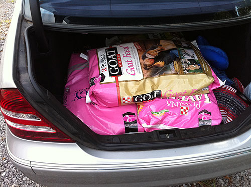 Purina goes pink