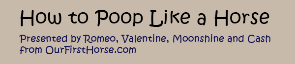 How To Poop Like A Horse How To Poop Like A Horse