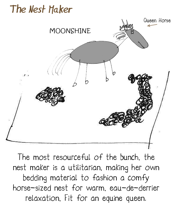 How to poop like our horse Moonshine How to poop like our horse Moonshine