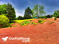 Pasture after a storm