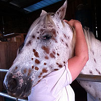 Horse Hug Horse Hug