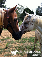 Cash with muzzle